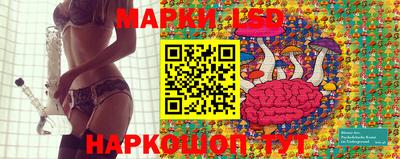 mdma Гатчина