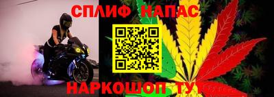 mdma Гатчина