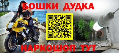 ешки Гай