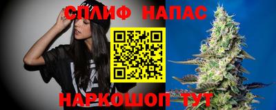 ешки Гай