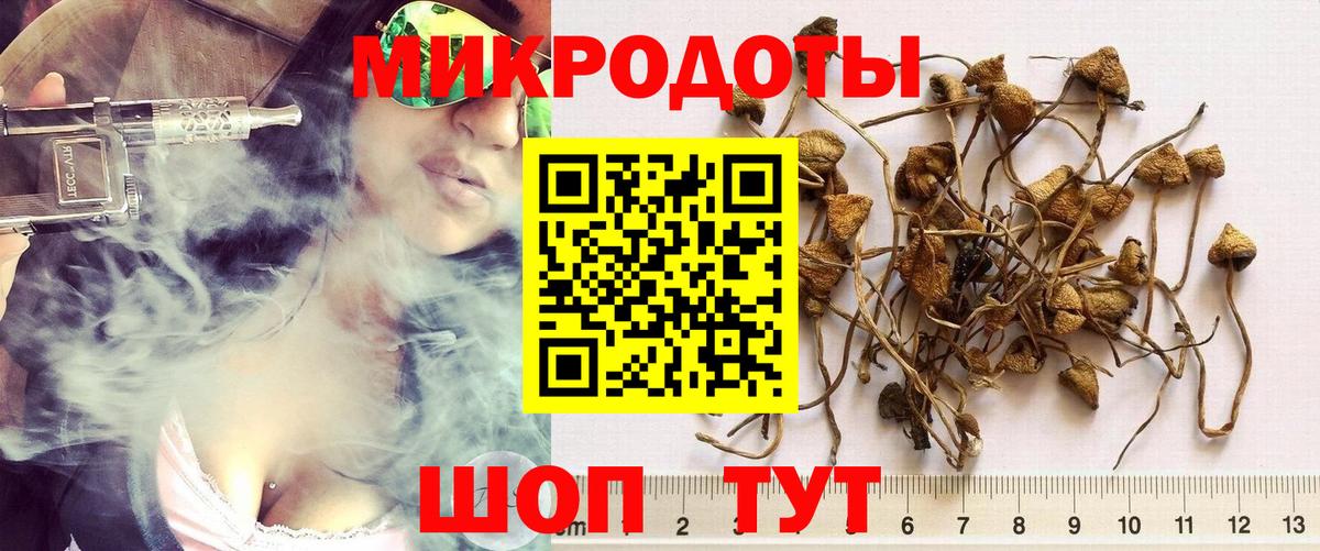 Михайловск  Псилоцибиновые грибы Magic Shrooms  купить   Вход с VPN  Псилоцибиновые грибы Cubensis 