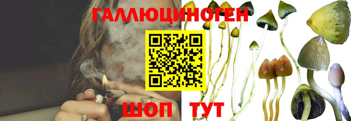 Псилоцибиновые грибы ЛСД Михайловск